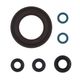 Engine Oil Seals Kit