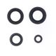 Engine Oil Seals Kit