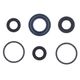 Engine Oil Seals Kit