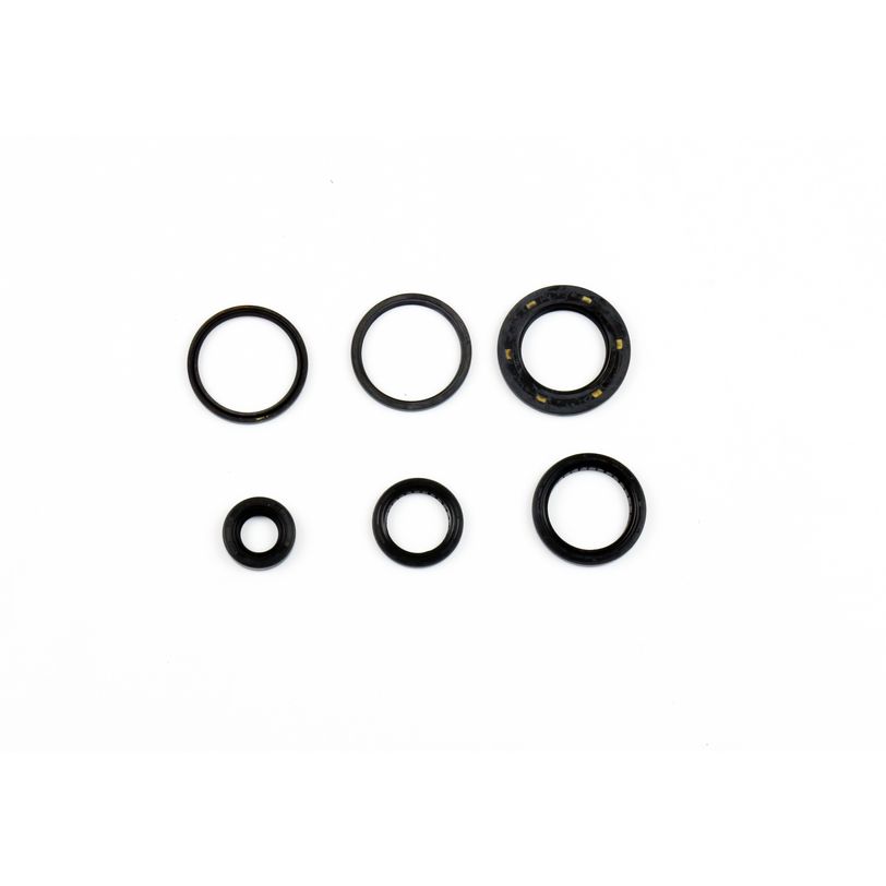 Engine Oil Seals Kit