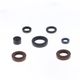 Engine Oil Seals Kit