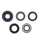 Engine Oil Seals Kit