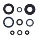 Engine Oil Seals Kit