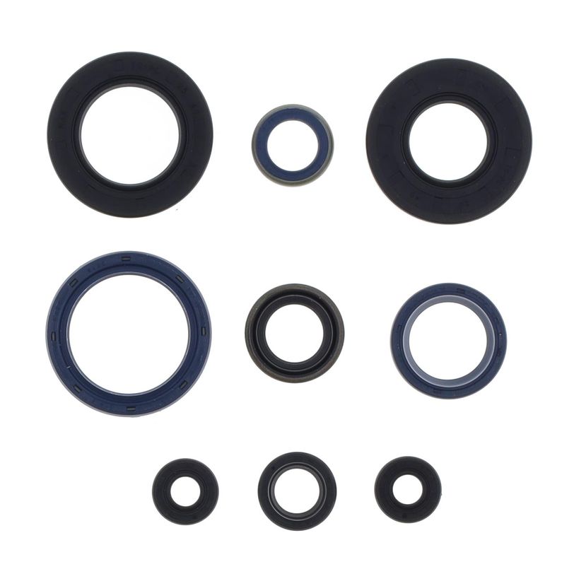 Engine Oil Seals Kit
