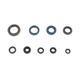 Engine Oil Seals Kit