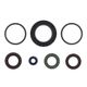 Engine Oil Seals Kit