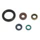 Engine Oil Seals Kit