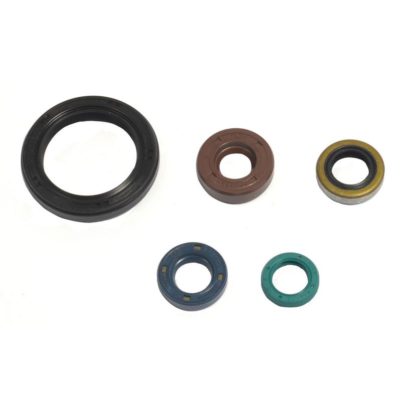 Engine Oil Seals Kit