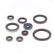 Engine Oil Seals Kit