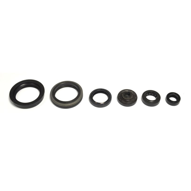 Engine Oil Seals Kit