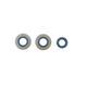 Engine Oil Seals Kit
