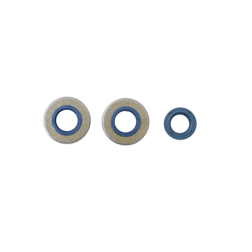 Engine Oil Seals Kit