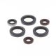 Engine Oil Seals Kit