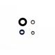 Engine Oil Seals Kit