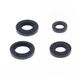 Engine Oil Seals Kit