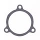 Exhaust Gasket