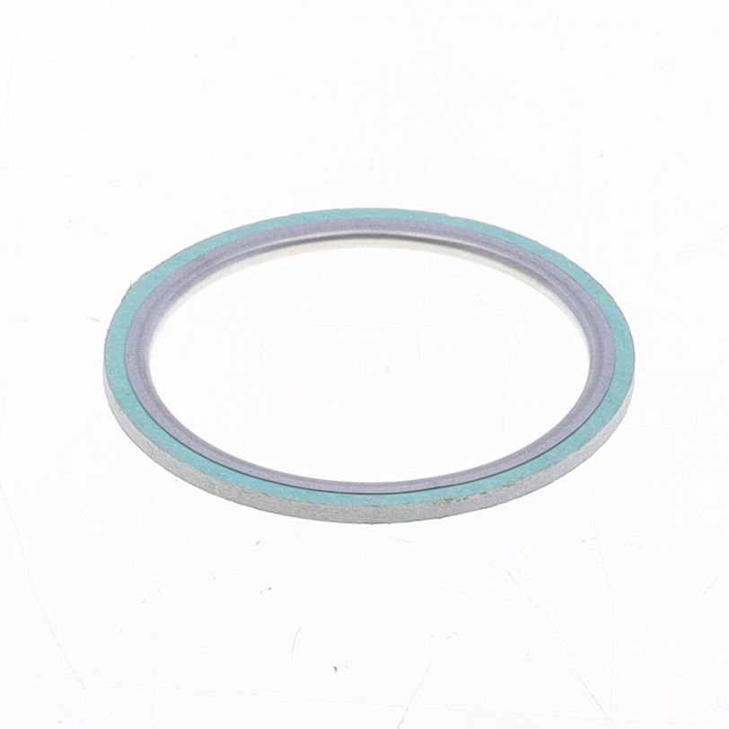 Exhaust Gasket