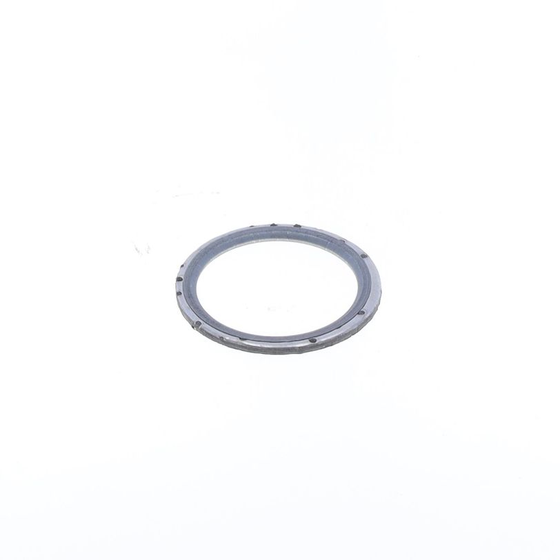 Exhaust Gasket