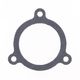 Exhaust Gasket