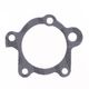 Exhaust Gasket