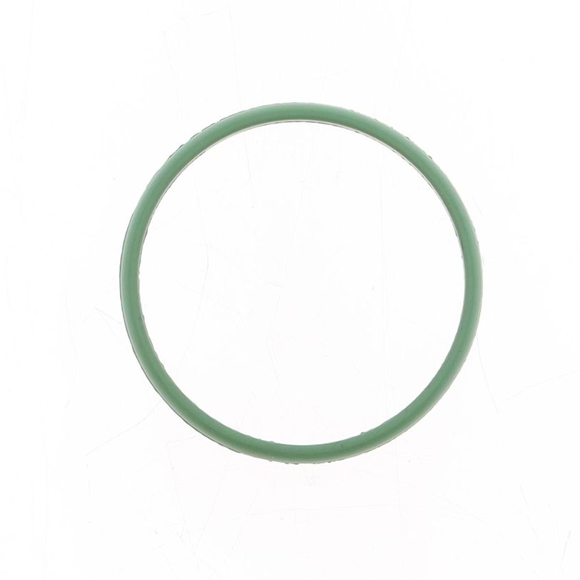 Exhaust Gasket