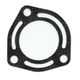 Exhaust Gasket