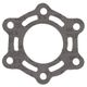 Exhaust Gasket