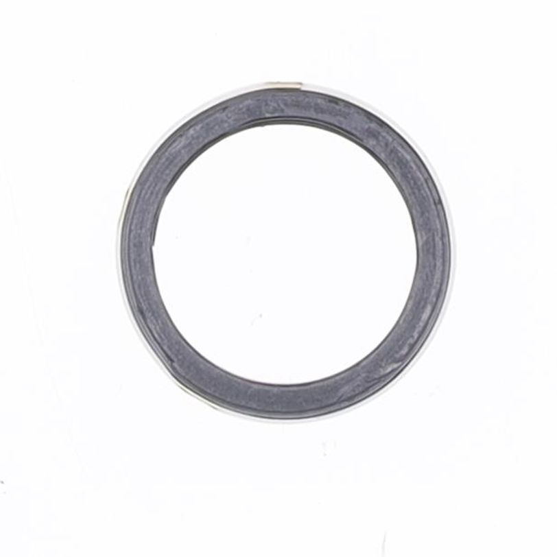 Exhaust Gasket