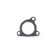 Exhaust Gasket