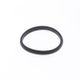 Exhaust Gasket