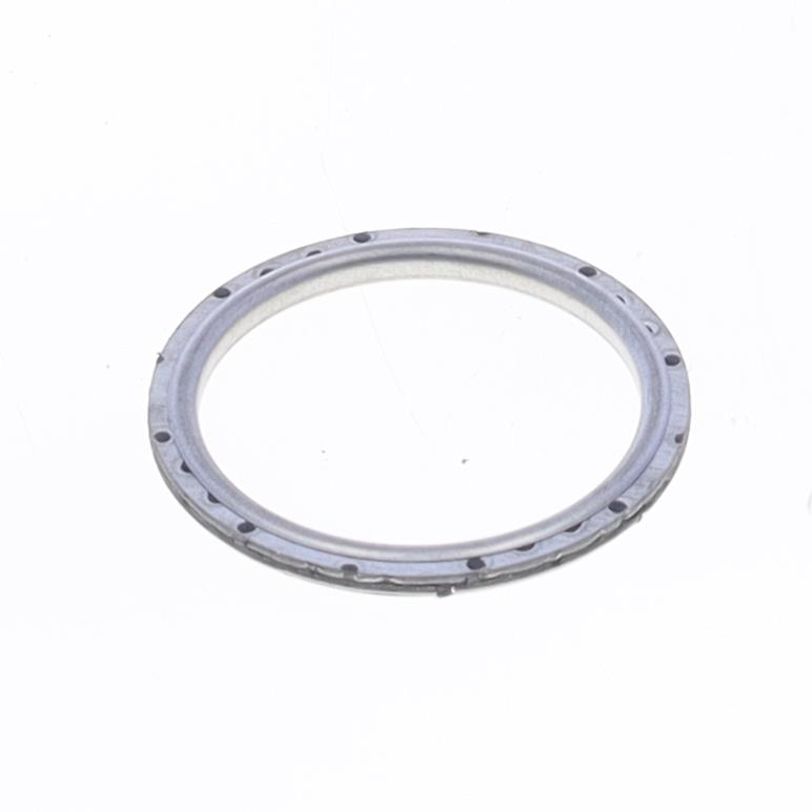 Exhaust Gasket