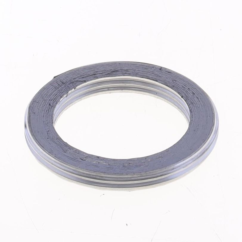 Exhaust Gasket