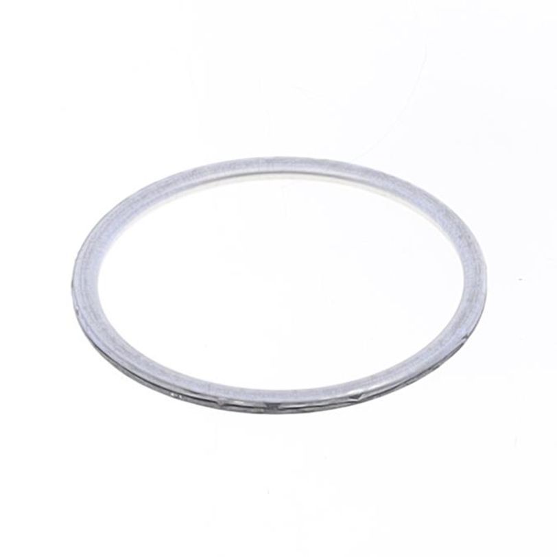 Exhaust Gasket