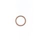 Exhaust Gasket