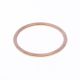 Exhaust Gasket