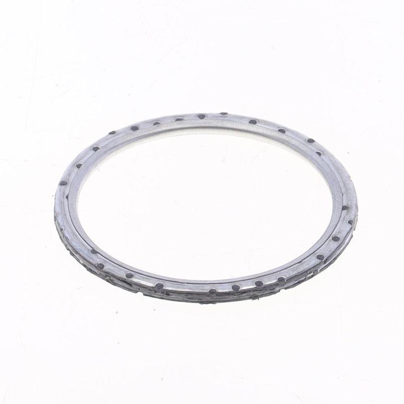 Exhaust Gasket