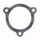 Exhaust Gasket