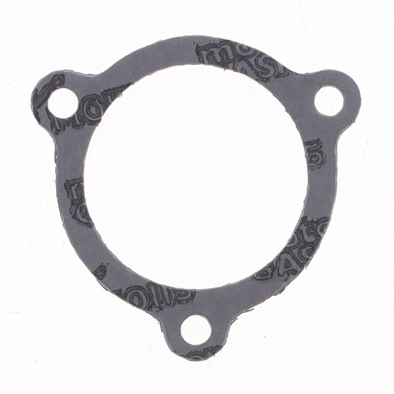 Exhaust Gasket