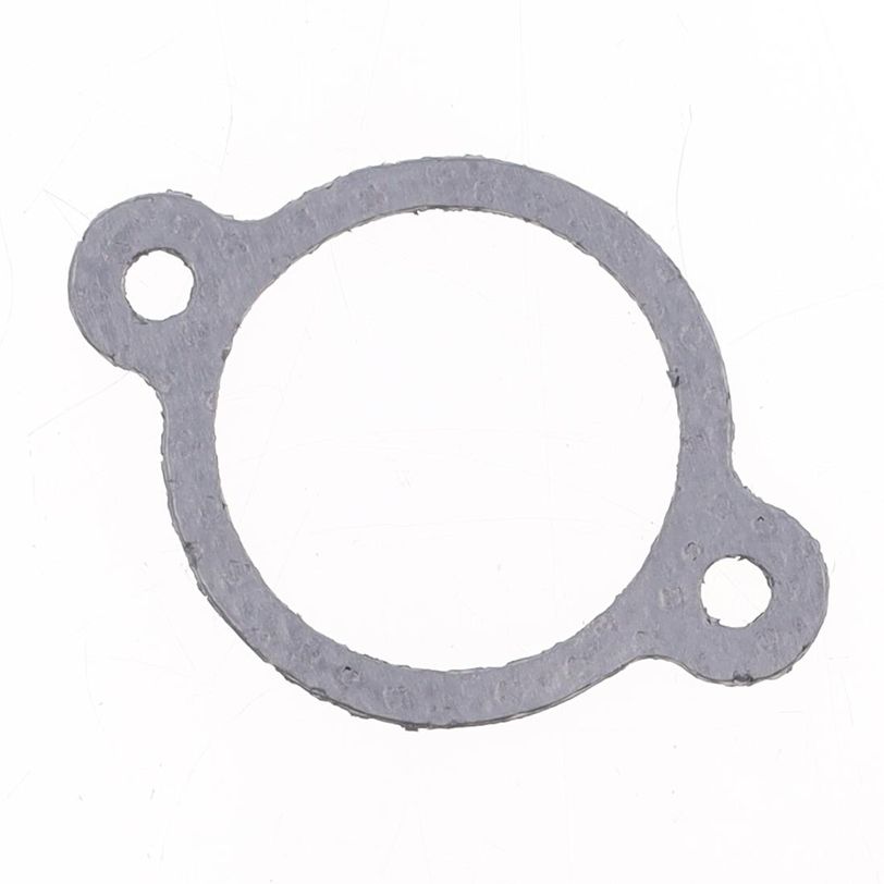 Exhaust Gasket