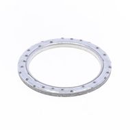 Exhaust Gasket