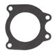 Exhaust Gasket