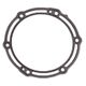 Exhaust Gasket
