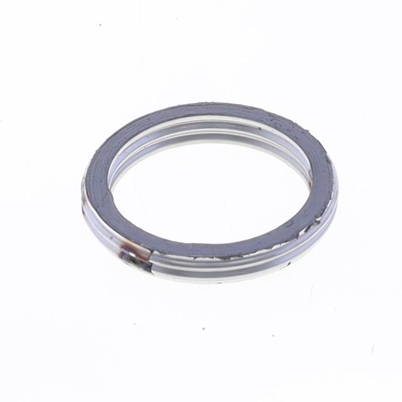 Exhaust Gasket