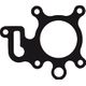 Exhaust Gasket