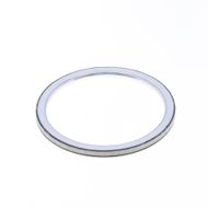 Exhaust Gasket