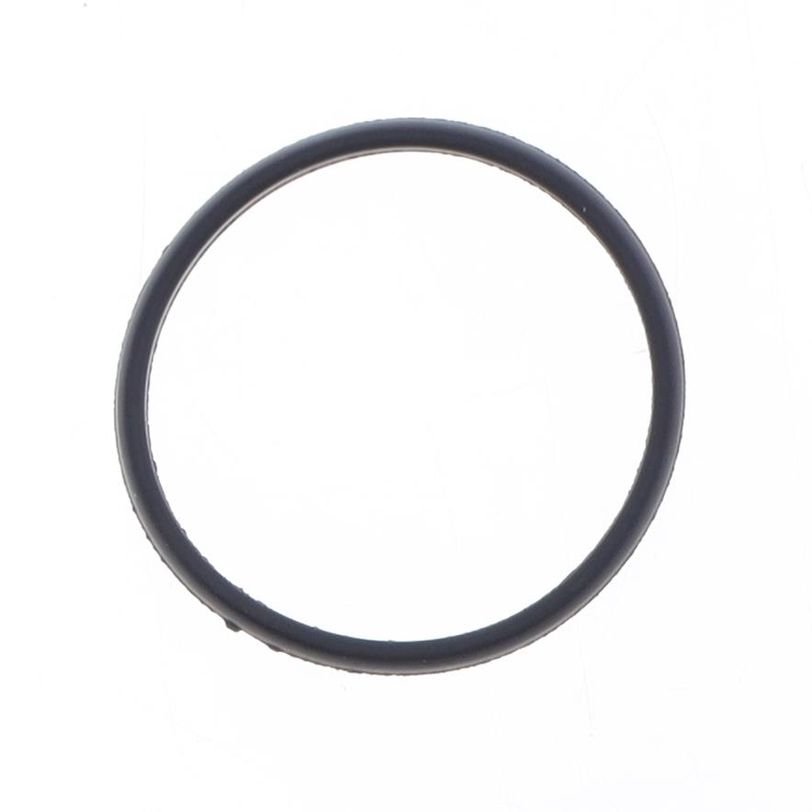Exhaust Gasket