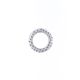 Exhaust Gasket