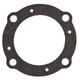 Exhaust Gasket