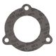 Exhaust Gasket