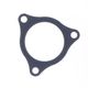 Exhaust Gasket